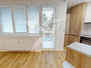 Pronájem bytu 3+kk, Plzeň, Elišky Krásnohorské, 64 m2