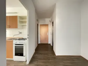 Pronájem bytu 3+1, Litvínov, Rooseveltova, 63 m2