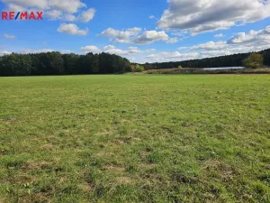 Prodej rodinného domu, Nová Ves, 375 m2