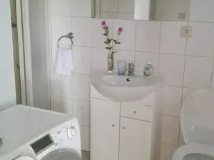 Pronájem půdního prostoru, Hroznová Lhota, 35 m2