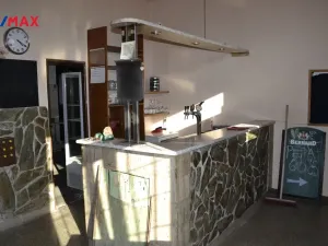 Pronájem restaurace, Vraňany - Mlčechvosty, 200 m2