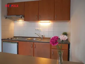 Pronájem bytu 1+kk, Brno, Zlínská, 26 m2