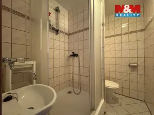 Prodej bytu 1+1, České Budějovice - České Budějovice 3, Pekárenská, 35 m2