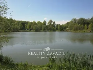 Prodej rybníku, Žabeň, 30500 m2