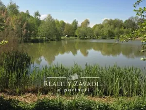 Prodej rybníku, Žabeň, 30500 m2