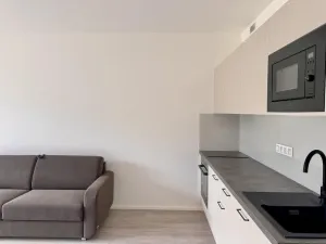 Pronájem bytu 1+kk, Praha - Žižkov, Malešická, 40 m2
