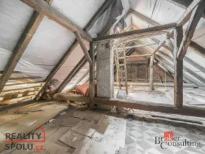 Prodej rodinného domu, Spálené Poříčí, Havlíčkova, 93 m2