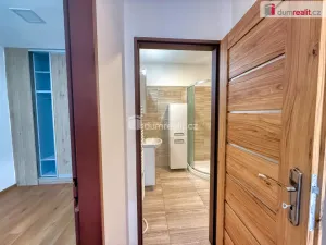 Pronájem bytu 2+1, Křešice, 52 m2