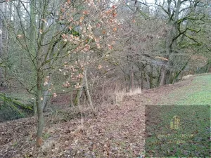 Prodej pozemku, Újezd u Svatého Kříže, 1239 m2