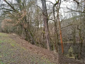 Prodej pozemku, Újezd u Svatého Kříže, 1239 m2