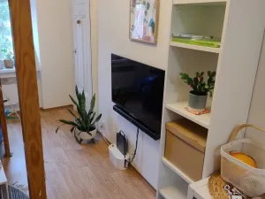 Pronájem bytu 1+kk, Brno - Veveří, Smetanova, 22 m2