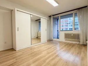 Pronájem bytu 4+1, Mladá Boleslav, Erbenova, 79 m2