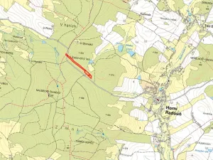 Prodej lesa, Horní Radouň, 21861 m2