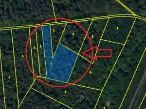Prodej lesa, Velká Polom, 3922 m2
