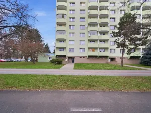 Prodej bytu 2+1, Vyškov - Vyškov-Předměstí, Dukelská, 52 m2