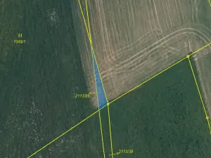 Prodej louky, Český Dub, 437 m2