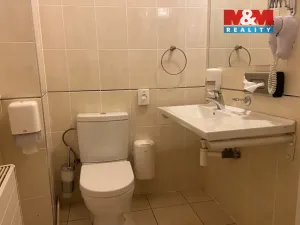 Pronájem bytu 4+kk, Plzeň - Vnitřní Město, Zbrojnická, 110 m2