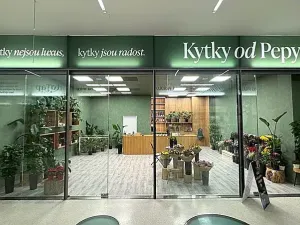 Pronájem obchodního prostoru, Brno, náměstí Svobody, 64 m2