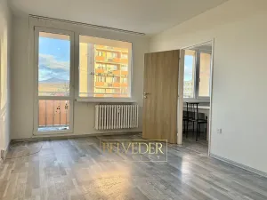 Prodej bytu 2+1, Bílina, Aléská, 48 m2