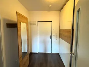 Pronájem bytu 1+kk, Brno, Gajdošova, 46 m2