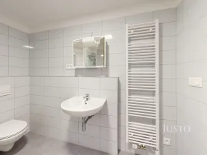 Pronájem bytu 1+kk, České Budějovice - České Budějovice 4, Vrbenská, 32 m2