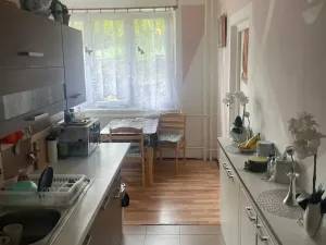 Pronájem bytu 2+1, Chomutov, Školní pěšina, 66 m2