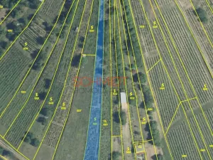 Prodej sadu/vinice, Kobylí, 1799 m2