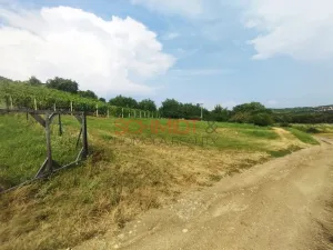 Prodej sadu/vinice, Kobylí, 1799 m2