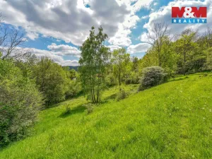 Prodej zahrady, Sušice - Nuzerov, 7751 m2