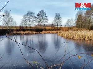 Prodej rybníku, Velká Losenice, 13639 m2