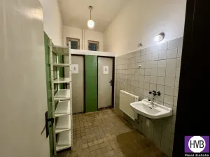 Pronájem obchodního prostoru, Říčany, Černokostelecká, 200 m2
