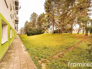 Prodej bytu 2+kk, Brno, Renneská třída, 58 m2