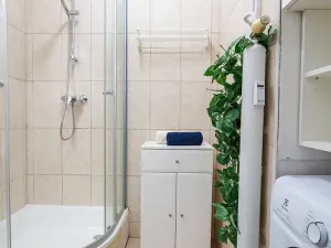 Pronájem bytu 2+1, Brno, Renneská třída, 58 m2