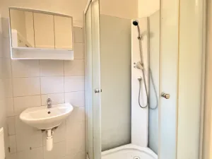 Pronájem bytu 1+1, Plzeň - Jižní Předměstí, Němejcova, 33 m2