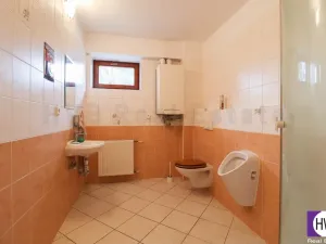 Pronájem obchodního prostoru, Ostrava, U Dvoru, 230 m2
