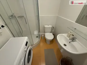 Pronájem bytu 1+kk, Praha - Smíchov, Na Valentince, 42 m2