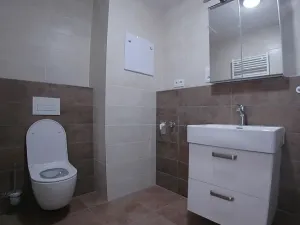 Pronájem bytu 2+kk, Plzeň, Hrachová, 43 m2
