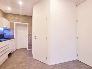 Pronájem bytu 2+kk, Brno, Dobrovského, 44 m2