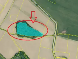 Prodej lesa, Bavorov, 10907 m2