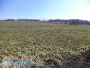 Prodej pozemku, Dolní Pěna, 4291 m2