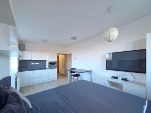 Pronájem bytu 1+kk, Brno - Žebětín, Lišejníková, 38 m2