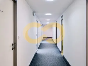 Pronájem kanceláře, Písek, Alšovo nám., 200 m2