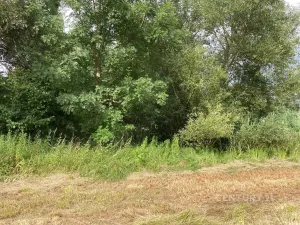 Prodej pozemku, Staňkovice, 438 m2