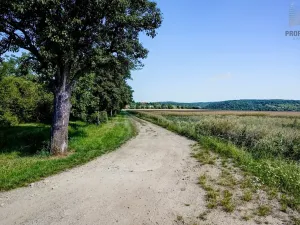 Prodej pozemku pro bydlení, Viničné Šumice, 1649 m2