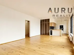 Pronájem bytu 4+kk, Praha - Nusle, Bělehradská, 116 m2