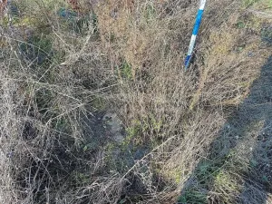 Prodej pozemku, Veverské Knínice, 2614 m2