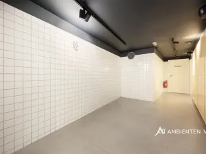 Prodej obchodního prostoru, Brno, Masarykova, 494 m2