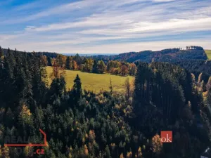 Prodej chalupy, Říčky v Orlických horách, 65 m2