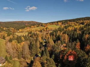 Prodej chalupy, Říčky v Orlických horách, 65 m2