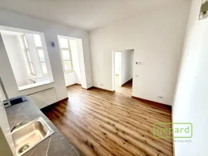 Pronájem bytu 3+kk, Praha - Žižkov, Vlkova, 56 m2